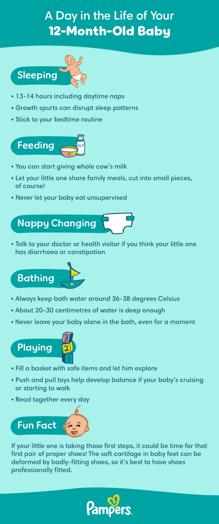 A Day in the Life of Your 12-Month-Old Baby A Day in the Life of Your 12-Month-Old Baby