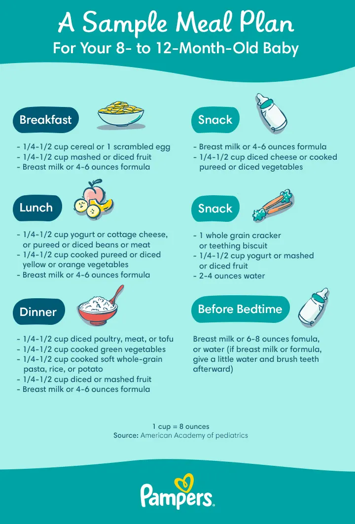 A sample meal plan for babies