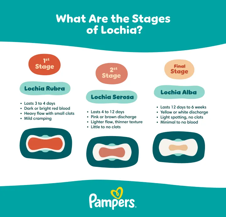 Stages of lochia