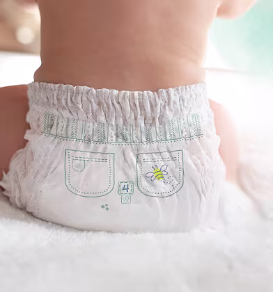 A close-up shot of a baby's back and bottom, showing them wearing a white nappy pant. 
