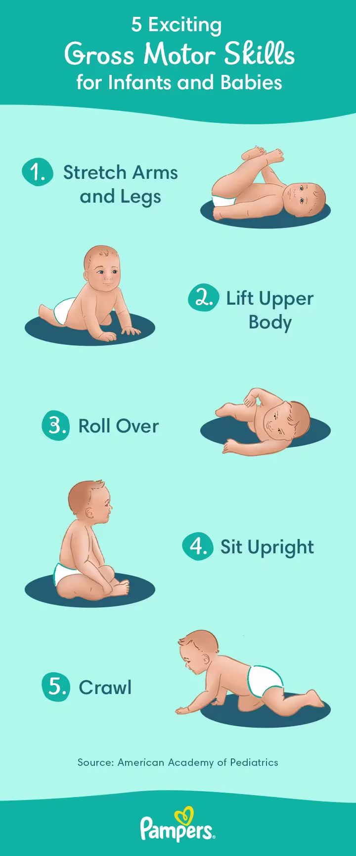 Gross Motor Skills
