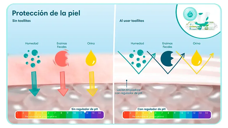 Ventajas y desventajas de usar o no toallitas húmedas para la protección de la piel de una guagua | Pampers® Chile Ventajas y desventajas de usar o no toallitas húmedas para la protección de la piel de una guagua