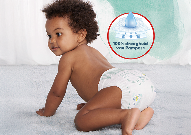 3181 57 Pampers BE PDP MB.com MAR25 Harmonie Pants Carrousel3