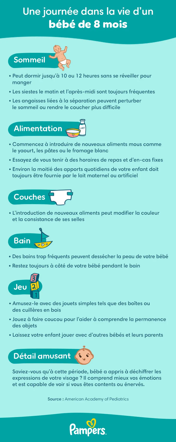 Étapes du développement et planning quotidien d’un bébé de 8 mois