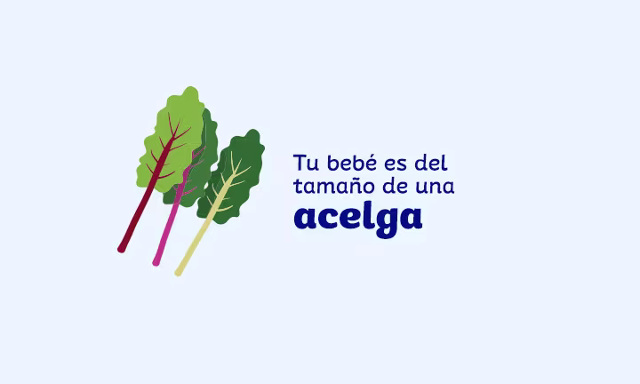 Semana 37 de embarazo