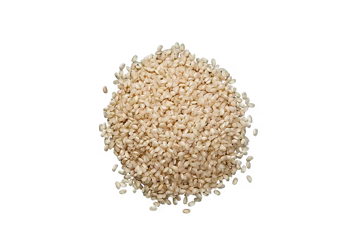 5 Weeks Pregnant Baby Size