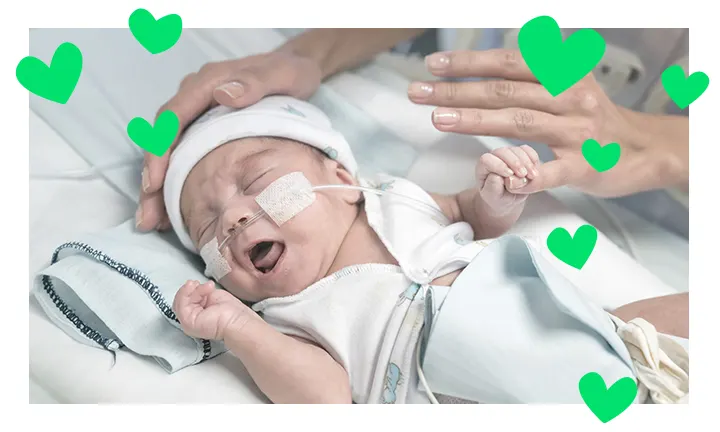 FRÜHCHEN IM INKUBATOR FRÜHCHEN IM INKUBATOR