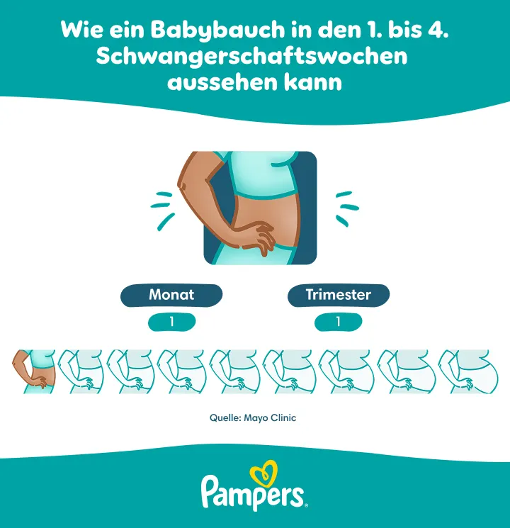 Bauch in der 3. Schwangerschaftswoche Bauch in der 3. Schwangerschaftswoche