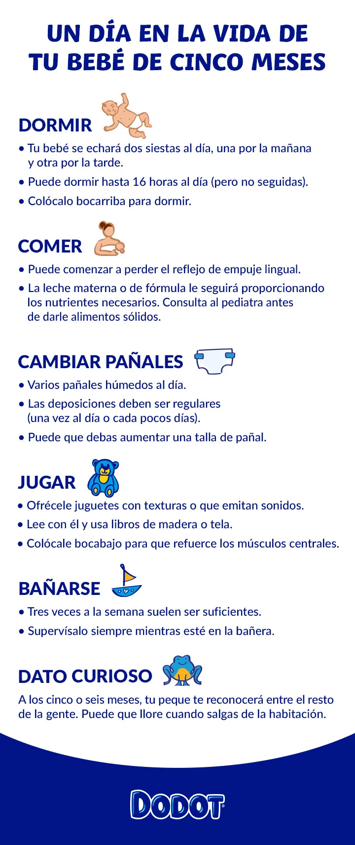 Infographic 2 ES Dodot 5 month old Daily Routine 720 20240403