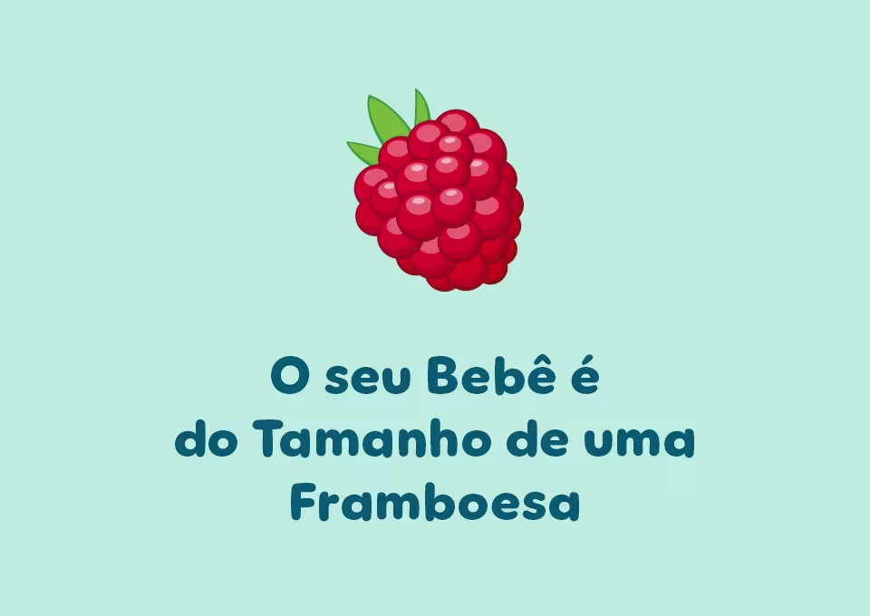 8 semanas de gravidez