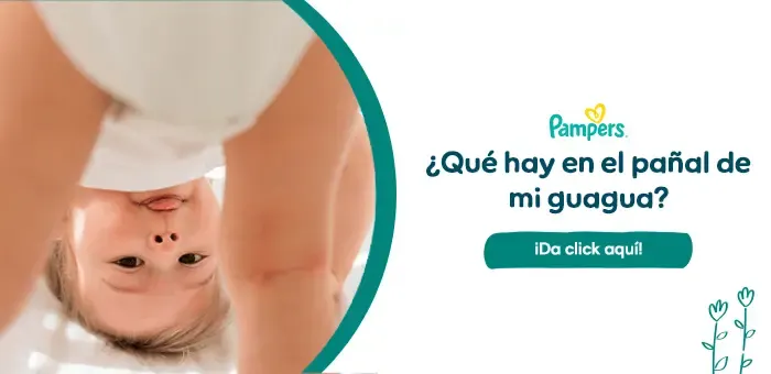 Pam PPV Ch1 Banner 700x340