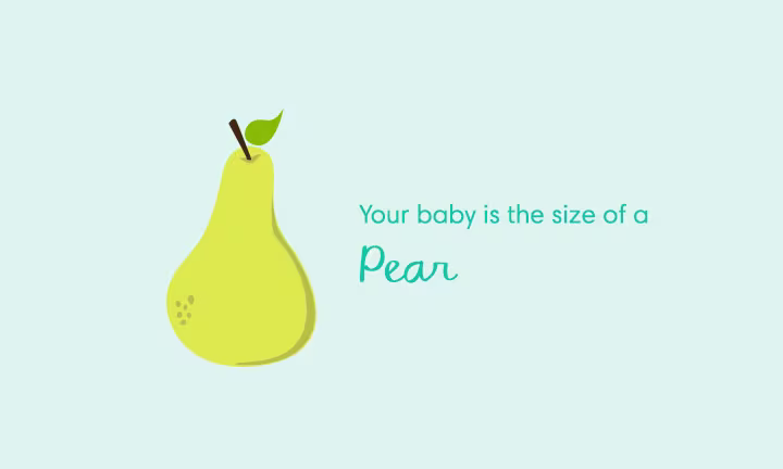 Pregnancy size comparison showing baby growth at 17 weeks as the size of a pear