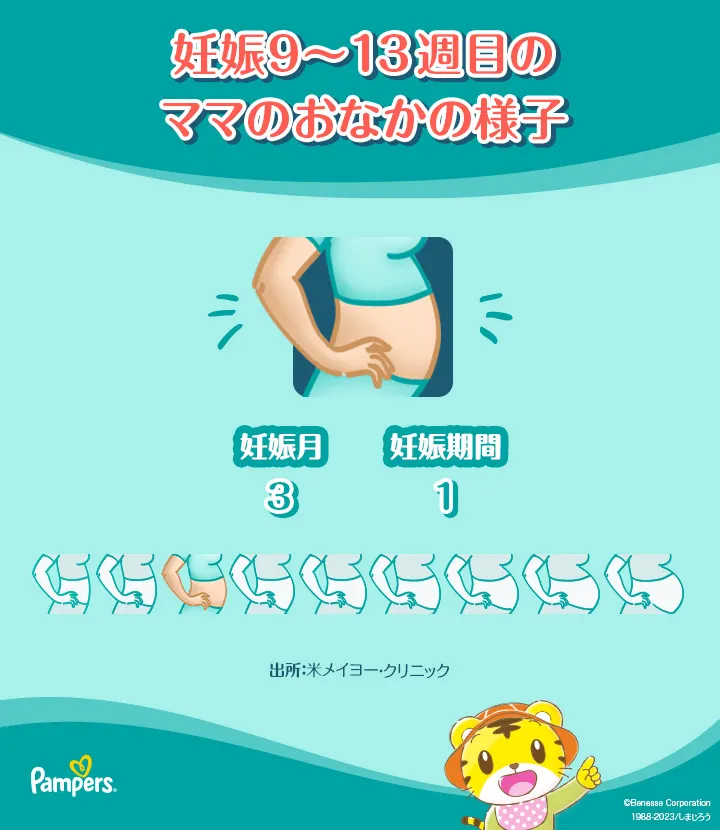 妊娠9~13週目のママのお腹の様子 妊娠9~13週目のママのお腹の様子