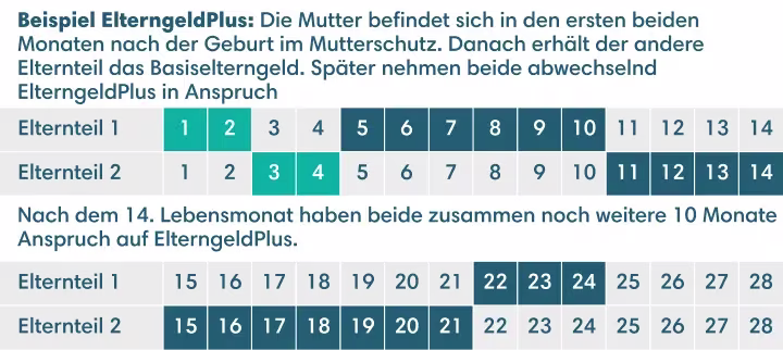 Die Mutter befindet sich in den ersten beiden Monaten nach der Geburt im Mutterschutz. Danach erhält der andere Elternteil das Basiselterngeld. Später nehmen beide abwechselnd ElterngeldPlus in Anspruch.