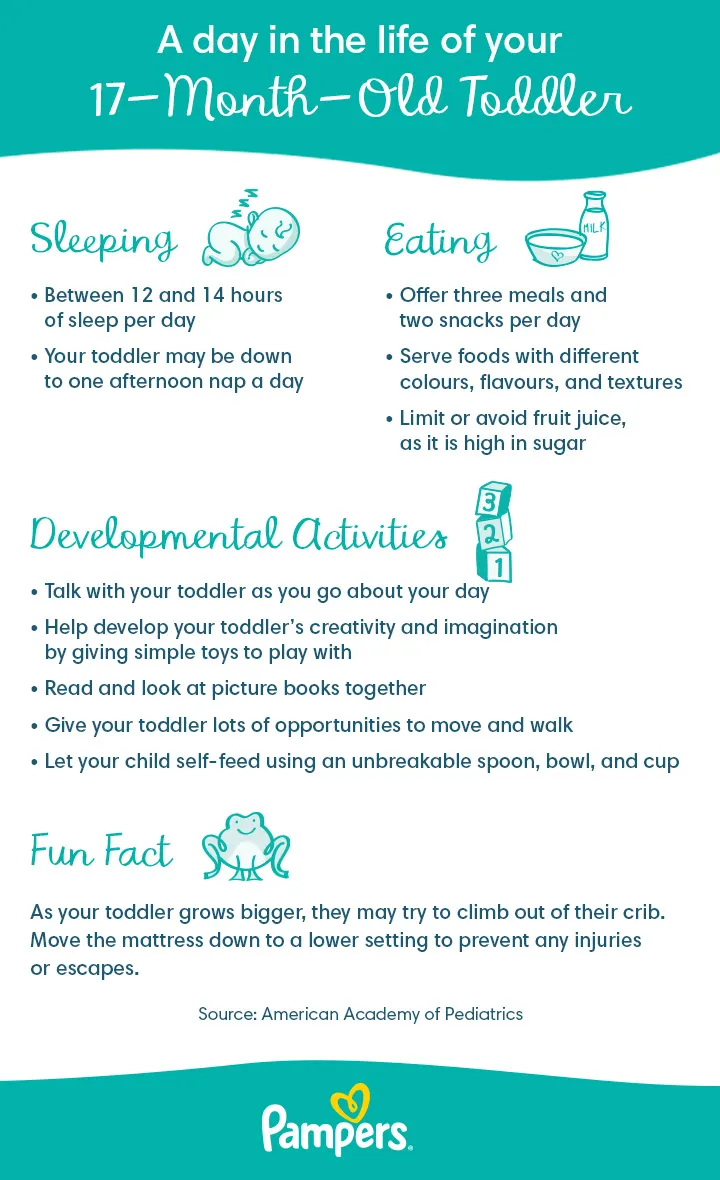 17 Month Old Daily Routine 17 Month Old Daily Routine