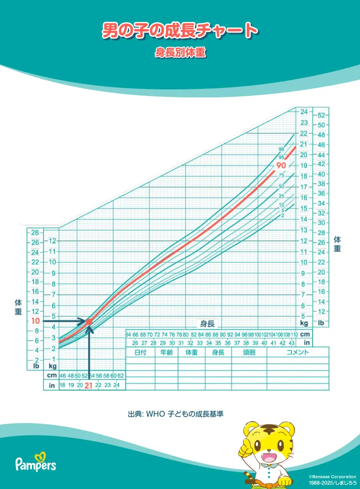 男の子の成長曲線（年齢別身長）