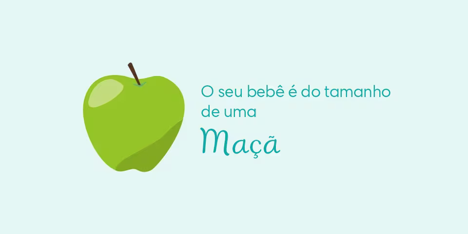 Your baby is the size of an apple