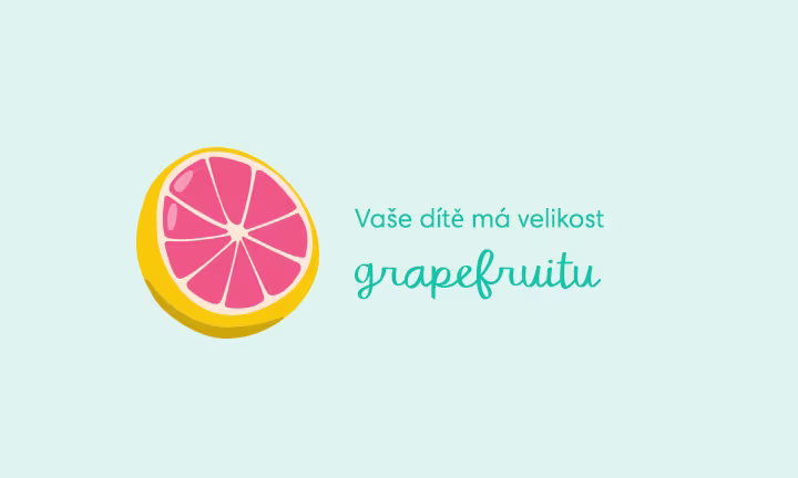 pregnancy-week-by-week-week-15