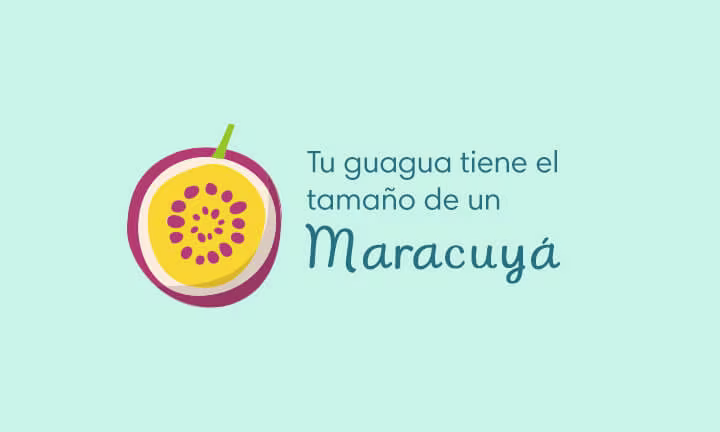 12 semanas de embarazo