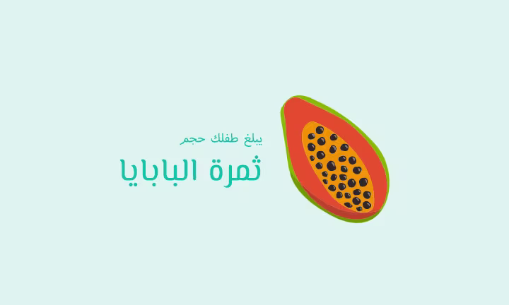 يبلغ طفلك حجم ثمرة البابايا