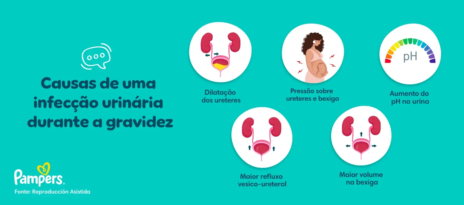 Ehub Baby Dodot24 35 Infogracia 01 1536x680