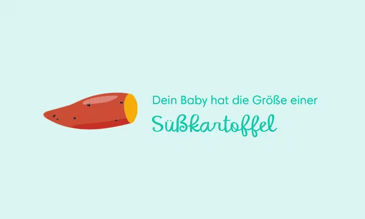 Die 18. Schwangerschaftswoche