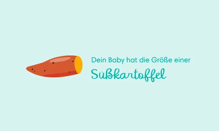 Die 18. Schwangerschaftswoche