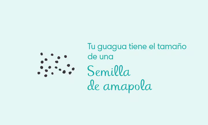 4 semanas de embarazo