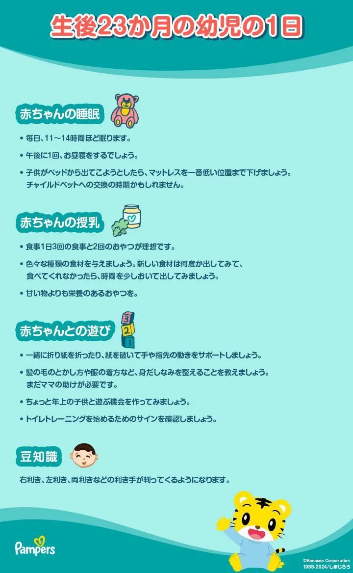 生後23ヶ月の幼児の1日のスケジュール 生後23ヶ月の幼児の1日のスケジュール