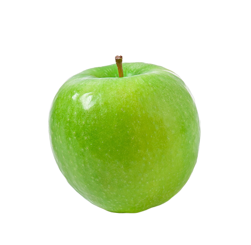 16 Weeks Pregnant Baby Size