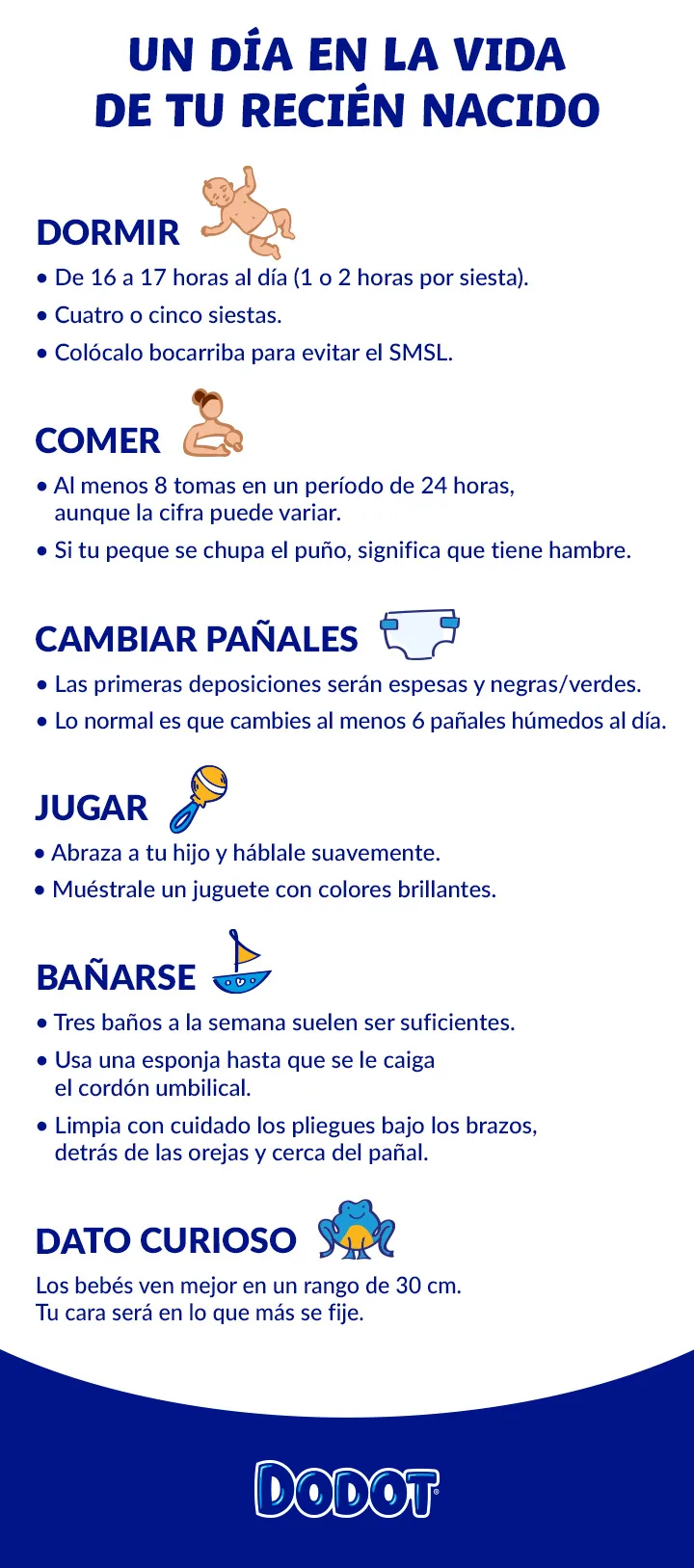 Hitos y horario del recién nacido