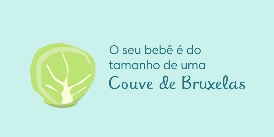 Your baby is the size of a Brussels sprout
