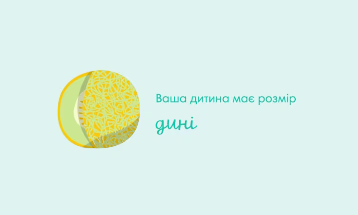 pregnancy-week-by-week-week-35