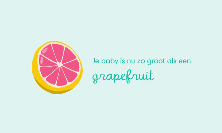 baby size of grapefruit week 15