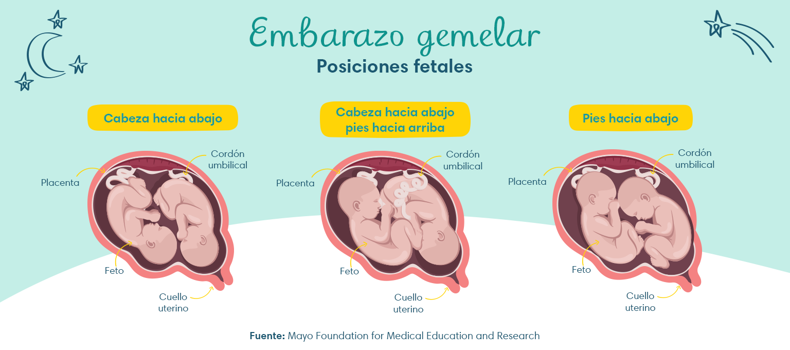 Embarazo de gemelos semana a semana | Pampers®