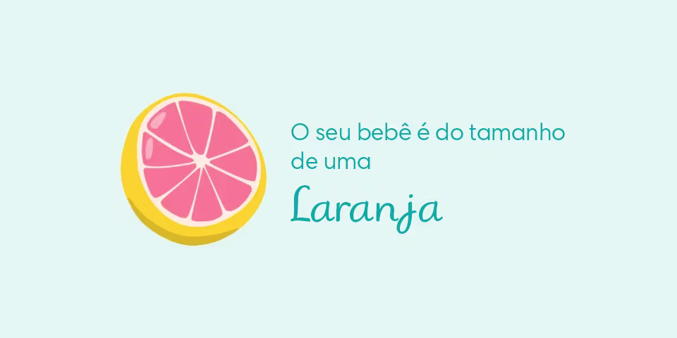 Your baby is the size of a grapefruit