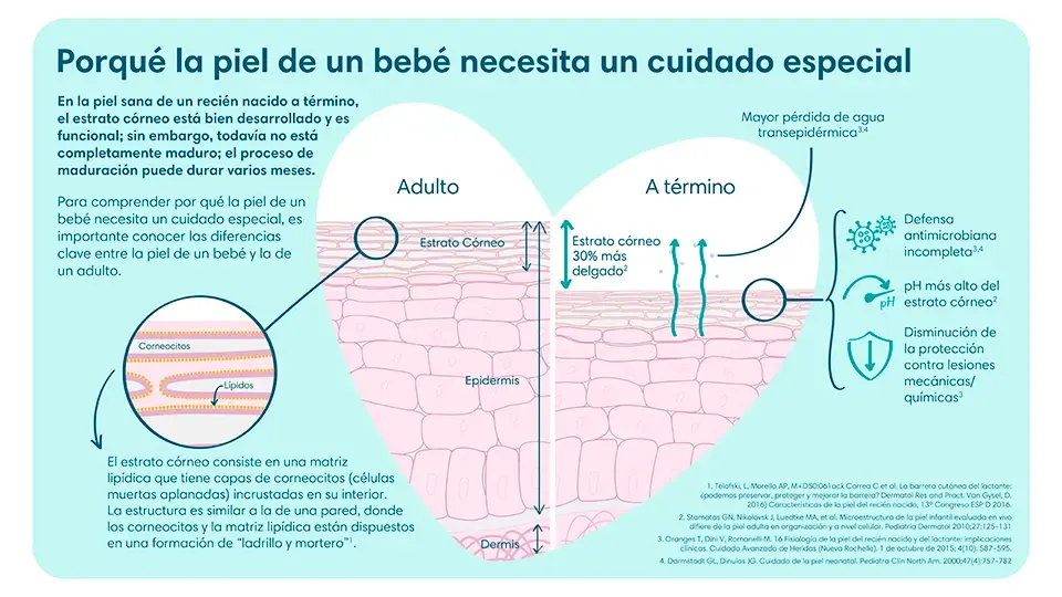 Diferencias de una piel a término vs una piel de adulto