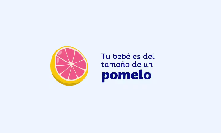 tamaño del feto a las 15 semanas