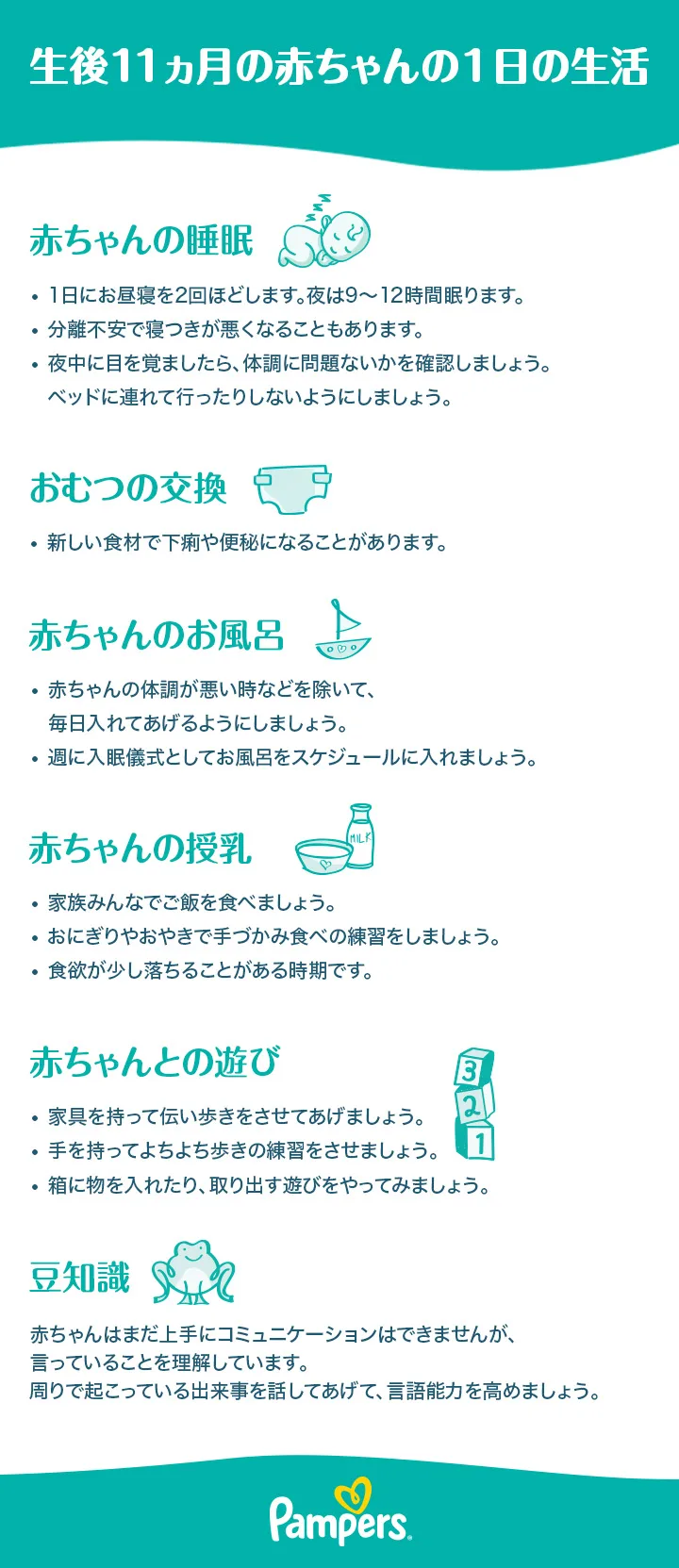 生後 11 ヶ月 スケジュール 生後 11 ヶ月 スケジュール