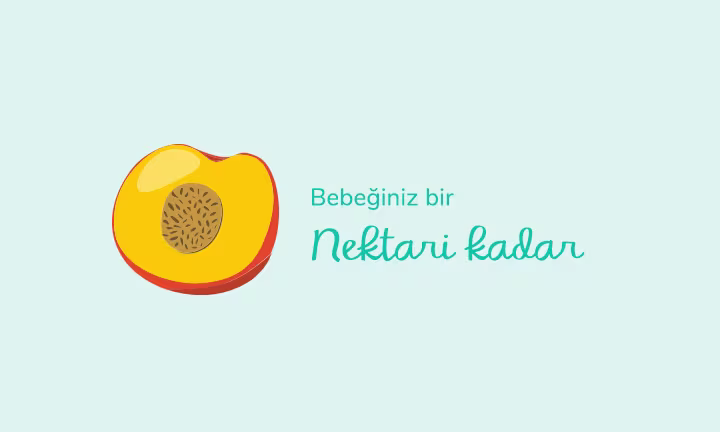 Your baby is the size of a nectarine