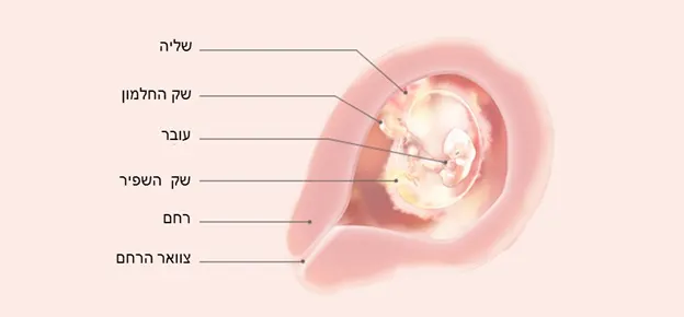 Article Content Image week6 6