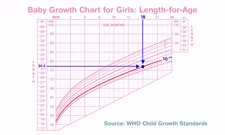 نمو الطفل للفتيات: طوله بالنسبة للعمر