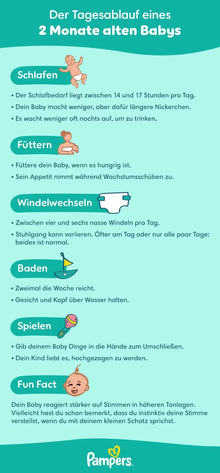 Tagesablauf 2.Monat Tagesablauf 2.Monat