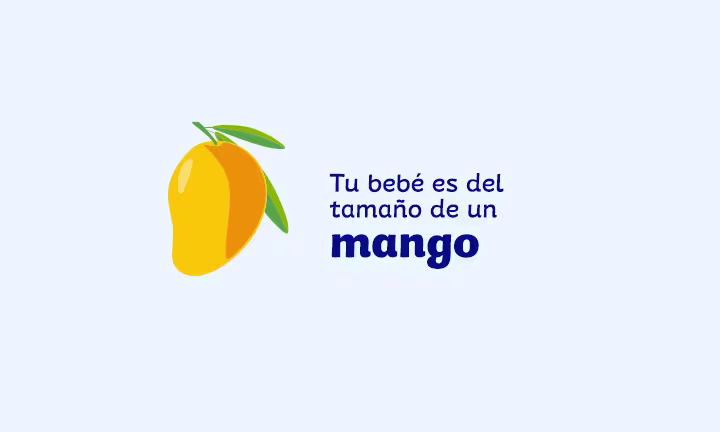 Semana 19 de embarazo 