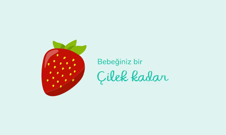 Your baby is the size of a strawberry