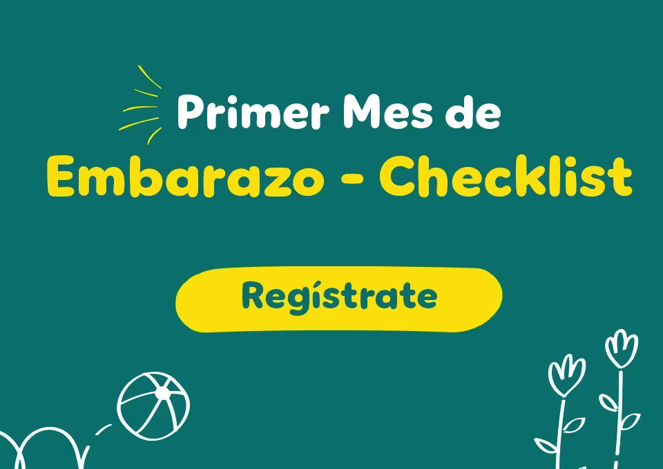 Banner registro meses de emabrazo