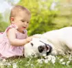 creating-a-safe-relationship-between-your-pets-and-baby