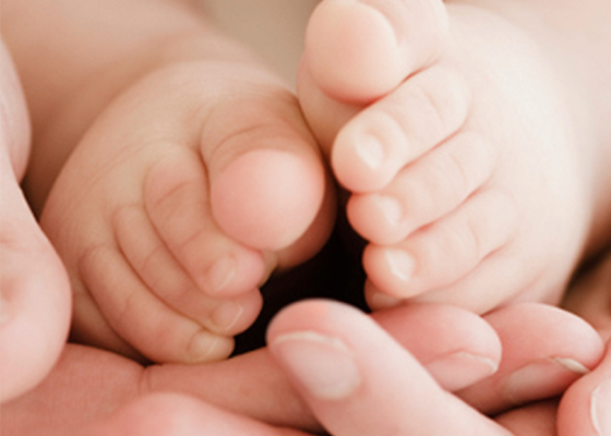 Pampers® Aroma de Lavanda