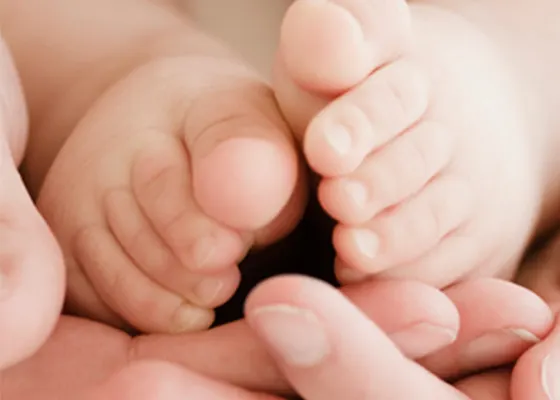 Pampers® Aroma de Lavanda