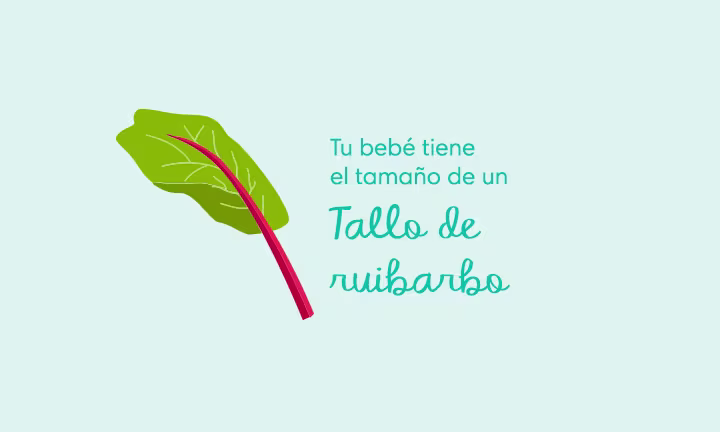 38 Semanas de Embarazo
